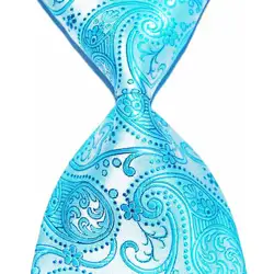 Официальная одежда 10 см широкий костюм Галстук Пейсли подарок для мужчин галстук шёлковый жаккардовый тканый Модный деловой свадебный