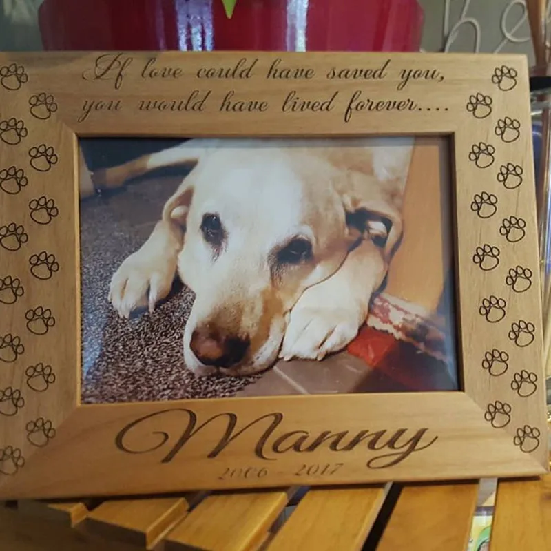 iap_640x640.1496498915_qk77yc0b_副本