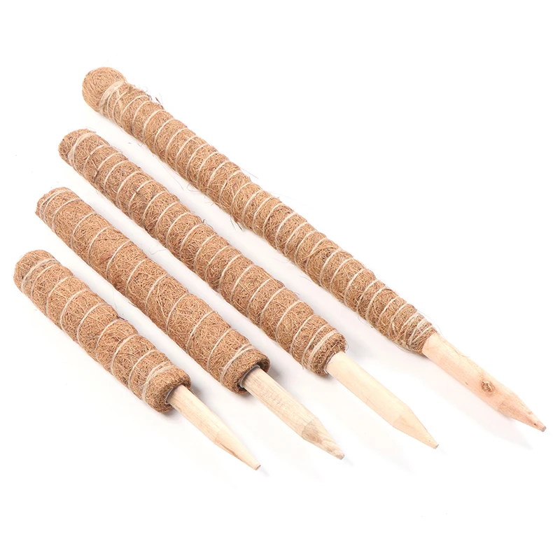 Рисунок 4 - Кокосовая палка для подъема растений