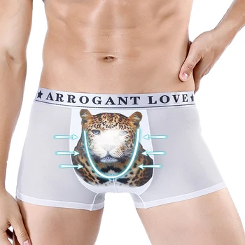 

Leopard Print Boxers Sexy Mesh Transparent Breathable Men Boxer Shorts Animal Underwear Summer Mens Fashion Underpants 2020 New