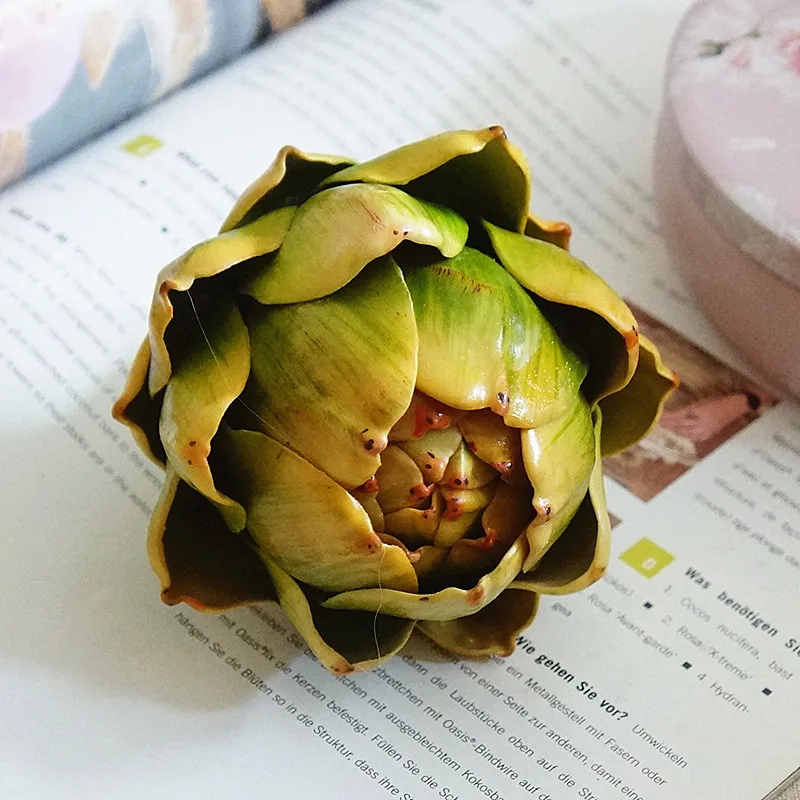 Artichoke fruit