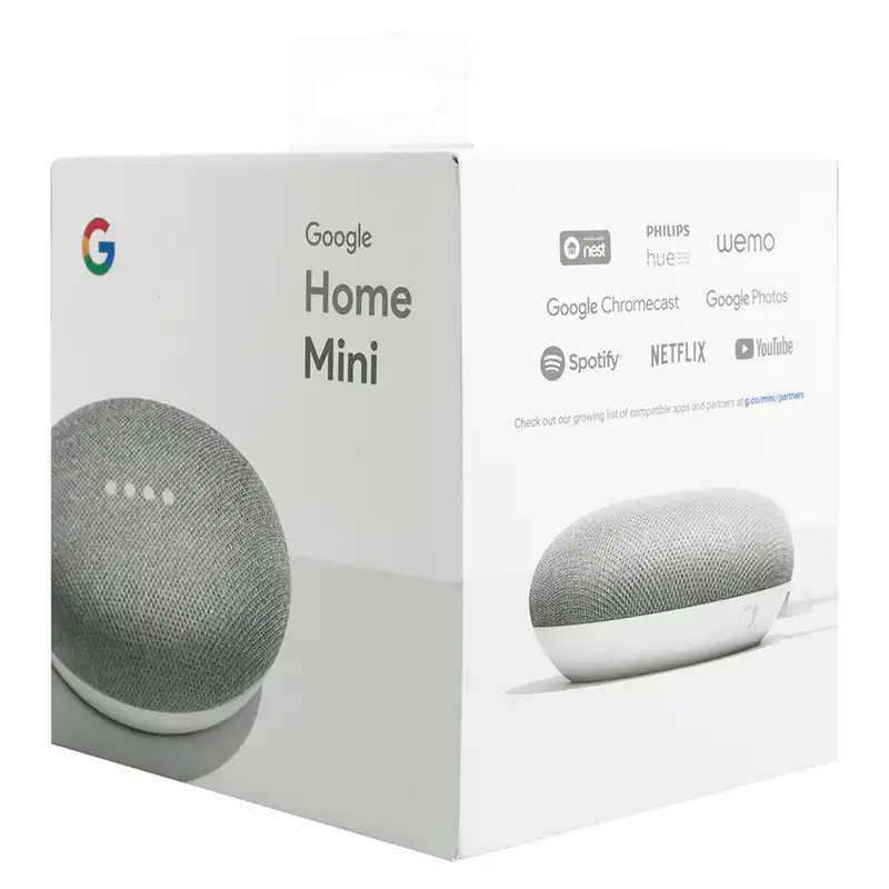 google home mini work