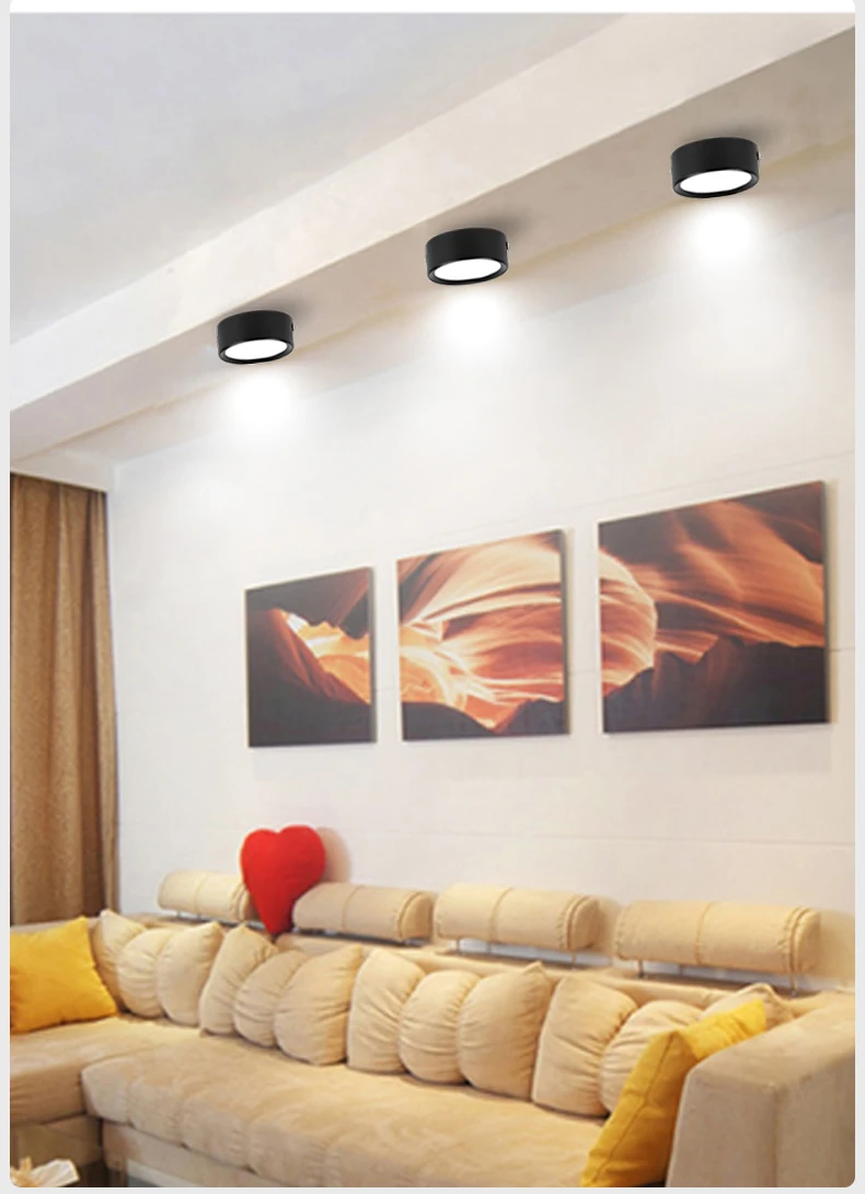 Surface Mounted LED Downlight 5W 10W 15W Ceiling Lamps Ultra-thin Decorative Spot Led Lights 220V For Living Room Home Lighting