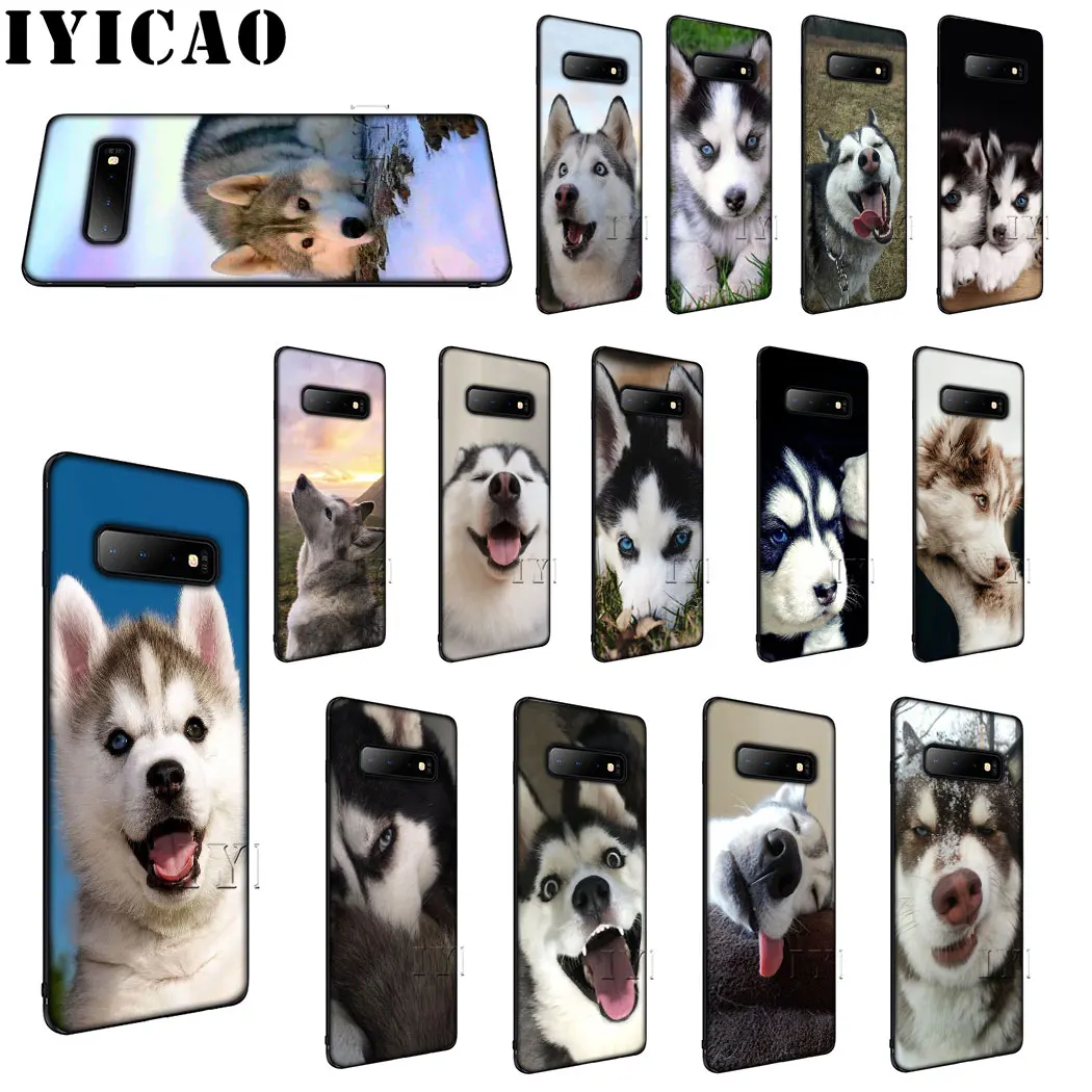 IYICAO husky dog Мягкий силиконовый чехол для samsung S6 S7 S8 Edge S9 S10 Plus S10e телефона | Мобильные