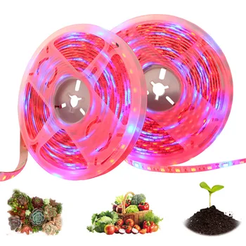 

LED Grow Light 5m Waterproof 12V 5050 Full Spectrum LED Strips Flower Phyto Growth lamps For Greenhouse Hydroponic Plant Growing