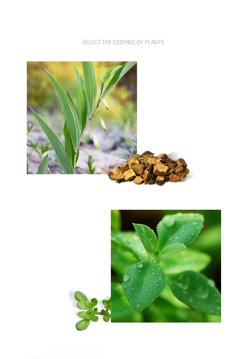 15375812689_531096043