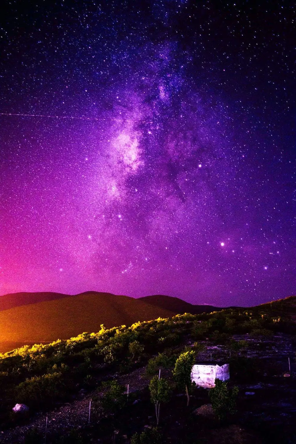    ζ  lis   ϴ ް    