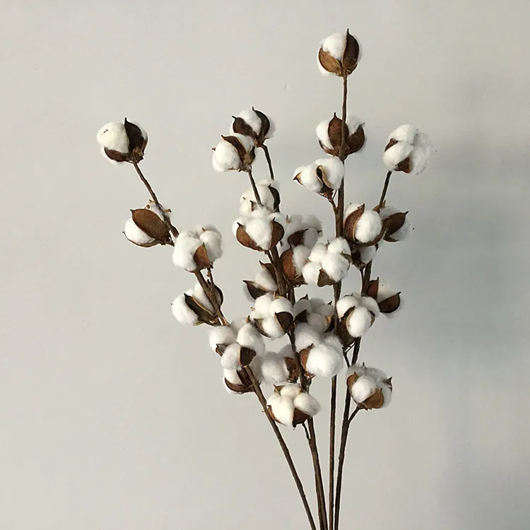 Dried flowers cotton branches 6 cotton long branches simulation cotton branches living room home wedding decorations