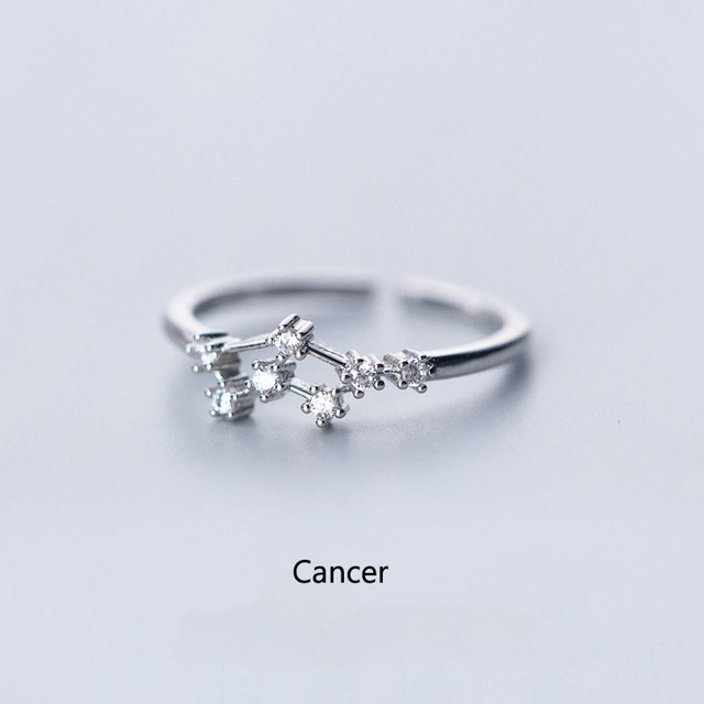 Elegant Zodiac Sign Finger Rings for Women Silver Color Adjustable CZ Zircon Ring 12 Constellation Jewelry Birthday Gift