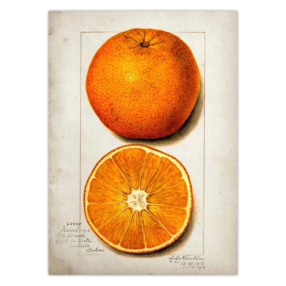 H09448ed368dc4c848415e12e90bff6eex