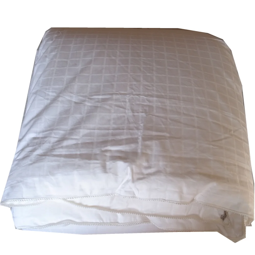 

Hand-Made Mulberry Silk Comforter Chinese Silk Quilt Nature Silk Blanket Comfy And Smooth For Spring And Fall Seasons