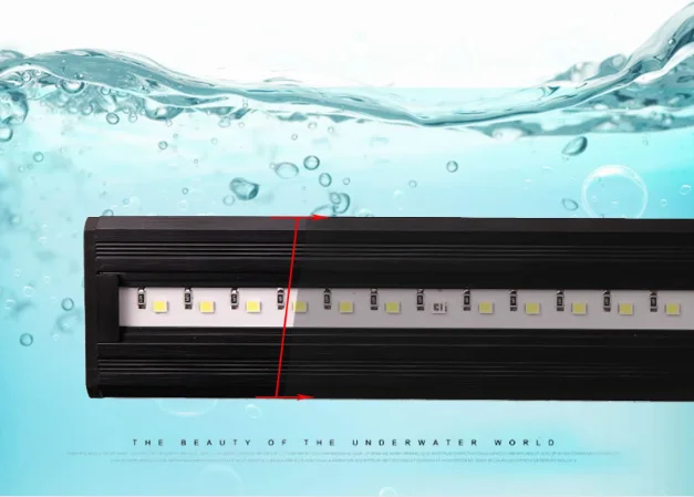 HTB1BE4FXFzsK1Rjy1Xbq6xOaFXaF