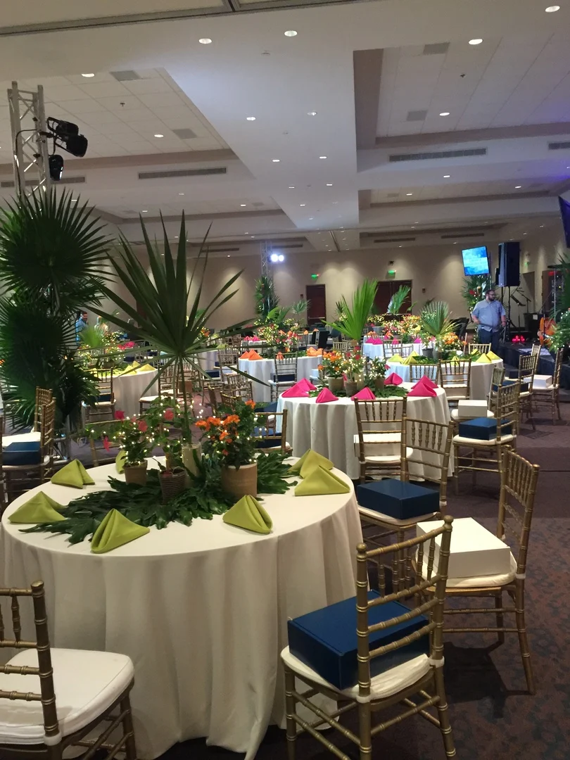 73883_11647566159_771b4b46_38c2_4b14_813d_139d55685b7a