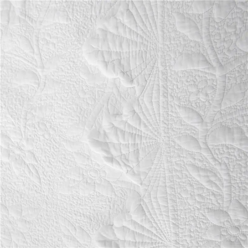 HTB1JzD0aMaH3KVjSZFpq6zhKpXaT