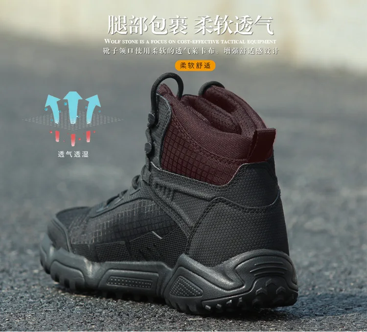 9786602994_1862443136