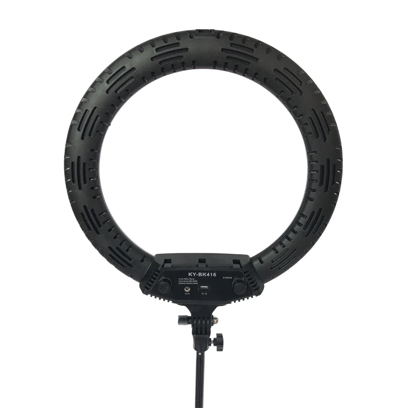 2020 New Runway desgin Angel Hydrangea Long Trench