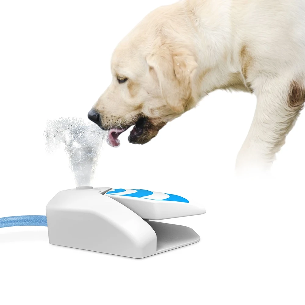 automatic dog fountain