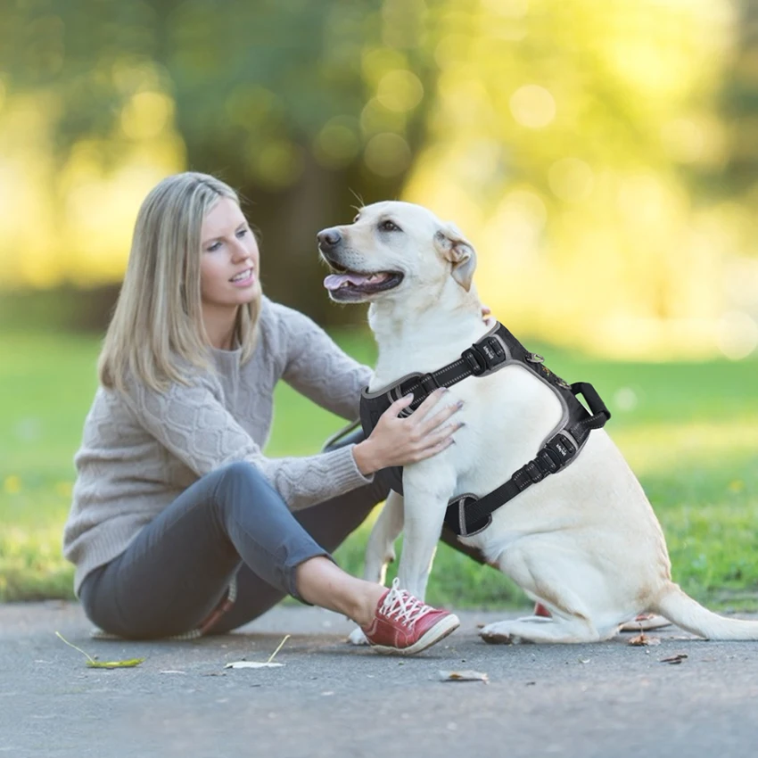 

Durable Reflective Pet Dog Harness Vest with Handle For Large Dogs Big Dog Harness Pull Pet Walking Harness 2 D Rings For Leash