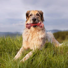 Hueso de goma duradero para perros, forma de nailon, accesorios interactivos para masticar, juguetes para perros