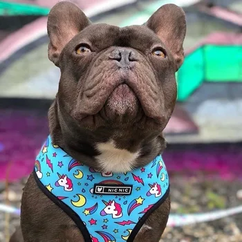 

Mesh Breathable Dog Harness Leash Set Cute Print Dog Vest Strap French Bulldog Walking Outdoor Arnes Accesorios Para Perros