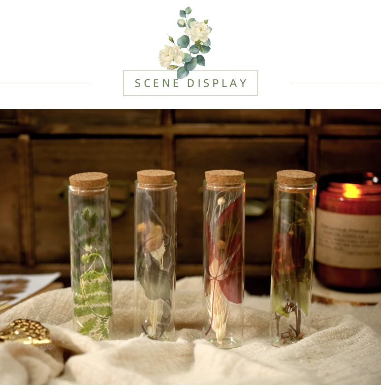 植物研究所贴纸包_08