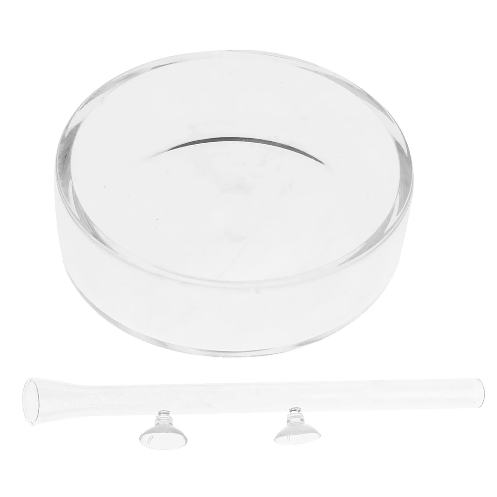 Glass Aquarium Feeding Dish + 300 MM Glass Tube Shrimp Feeder with Suction Cup Fish Tank Transparent Equipment
