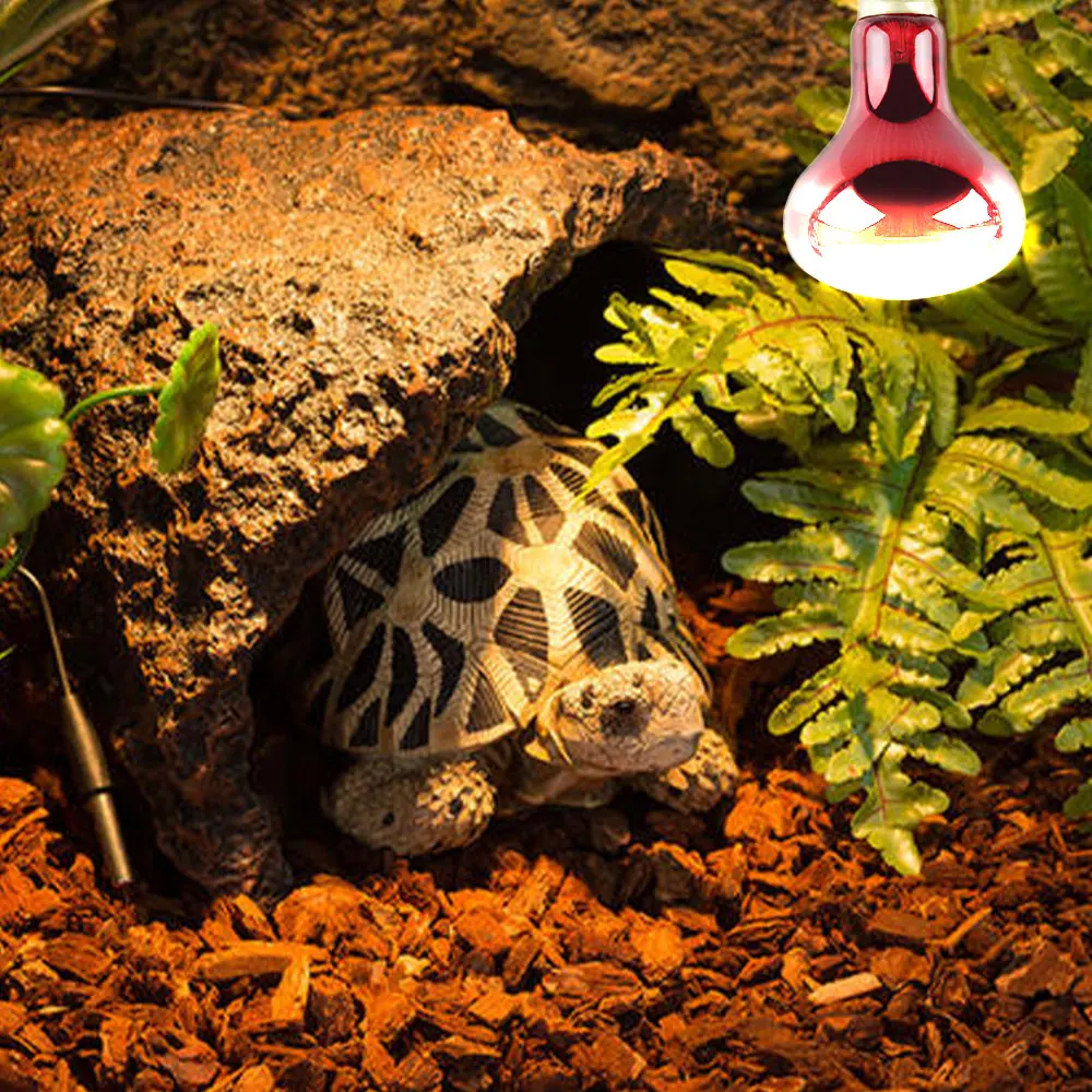 

Reptile Heating Lamb Amphibian Bird Snake Lamb Red Light Night Warm Heating Insulation Lamp for Lizards Turtles Animal Lighting