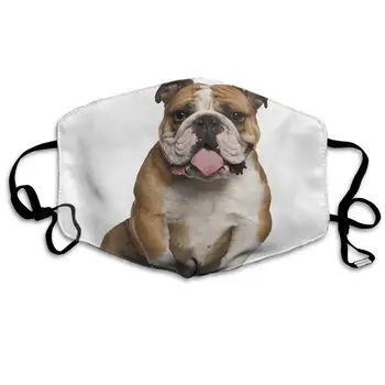 

Swono Mask Bulldog,Funny English Bulldog Sitting Against Polyester Anti Dust Face Mask-Washable and Reusable Mask for Cycling