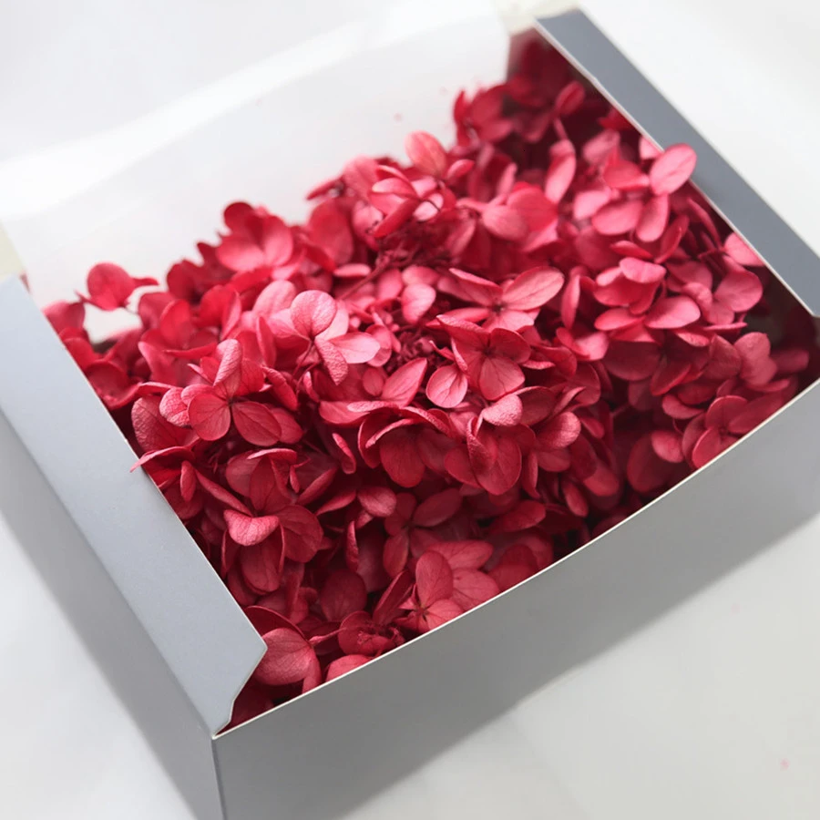 

20g high quality natural fresh hydrangea dried flower head DIY real eternal flower material long-term preservation does not fade