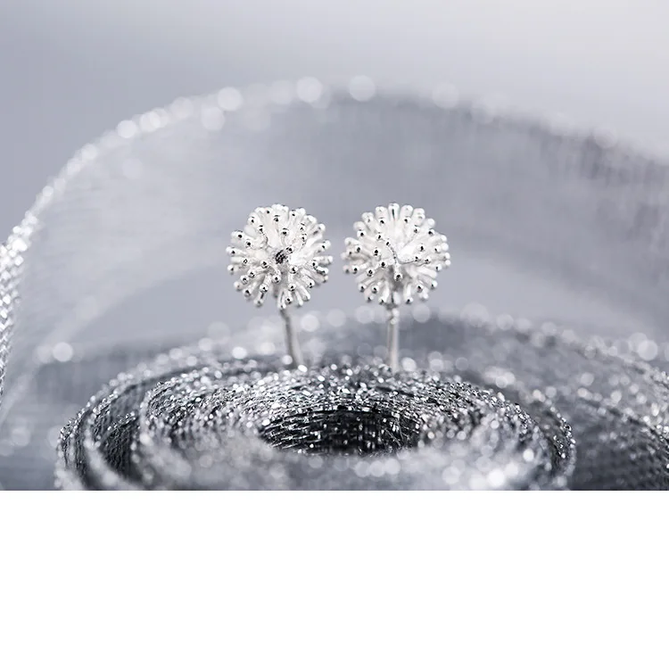 3389746494_823318017