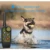 Dog Collar Electric Dog Training Collar Rechargeable LCD Display for All Size Pet Training Collar Ошейник для дрессировки собак