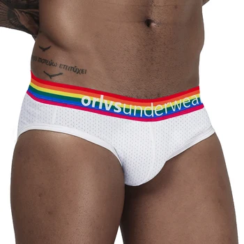 

Fashion Underpants Men Briefs Mesh Sexy Underwear Male Panties Cueca Tanga Comfortable Men Briefs Low Waist Sexy Gay Bikini