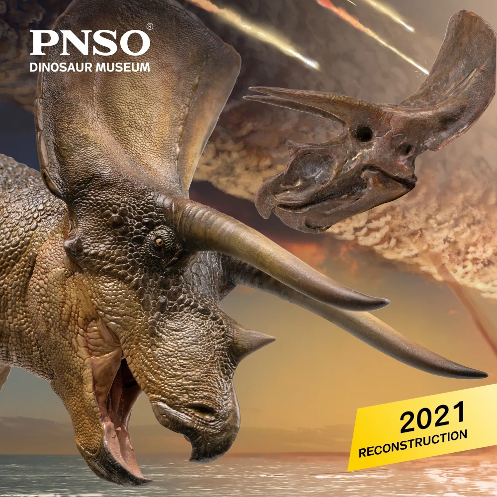 

PNSO Dinosaur Museums Series:New Doyle The Triceratops 1:35 Scientific Art Model