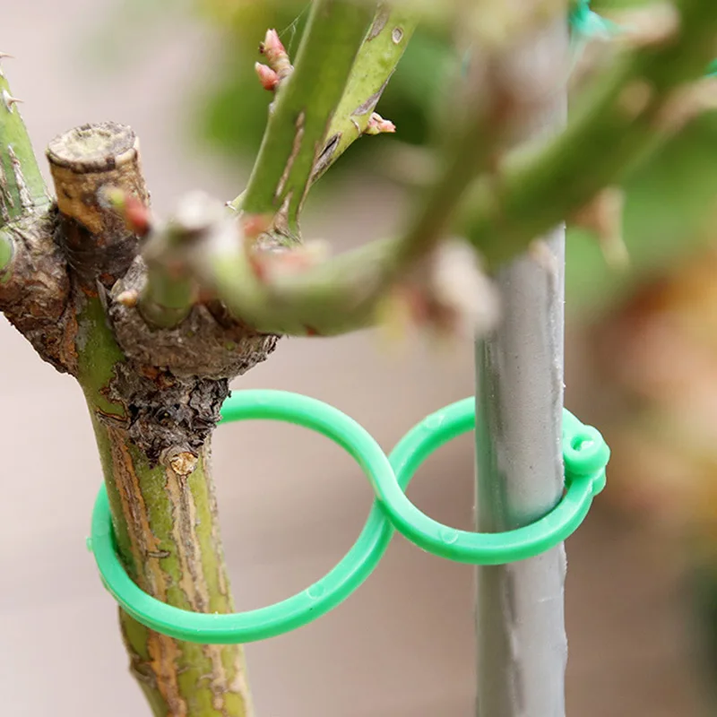 13778314103_1826022010