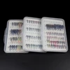 40PCS/Box Fishing Fly Set Stonefly Buzzers Beadhead Nymphs Epoxy Coated Nymphs Portable Trout Fly Fishing Box ► Photo 1/6