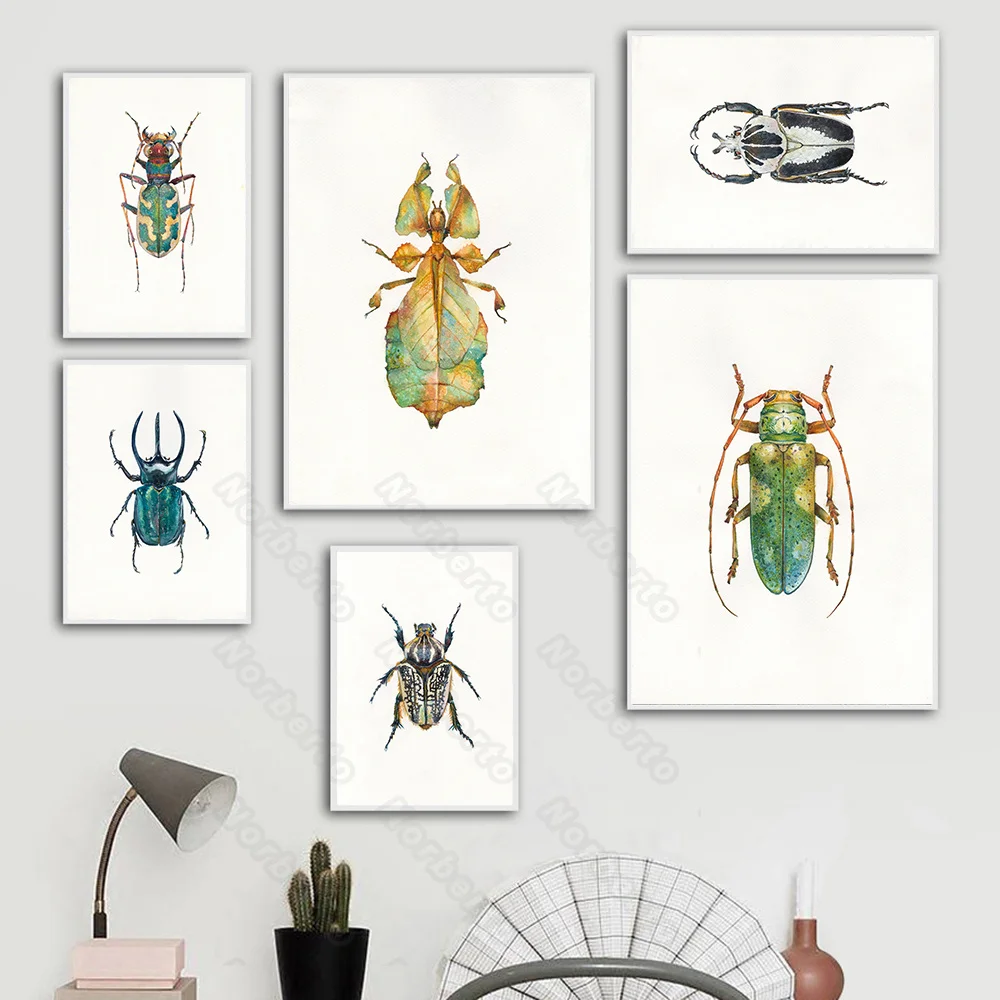 Many Beetles Insects Specimens Modern Realistic Style Canvas Painting Wall Poster Hd Print Home Rooms Bedroom Wall Decoration