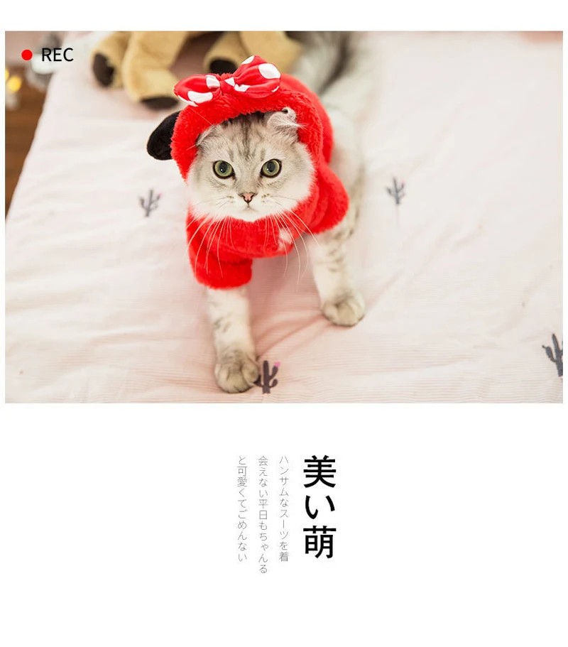 9404834445_859103132