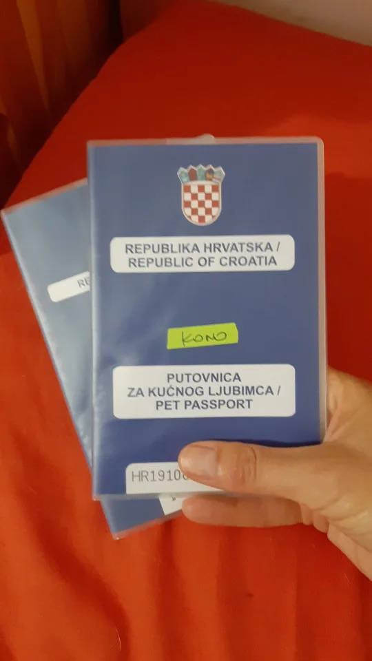 ПВХ Европейский ПЭТ Обложка для паспорта прозрачные водонепроницаемые обложки для паспорта пластиковые ПЭТ паспорт протектор Размер 157 мм* 105 мм