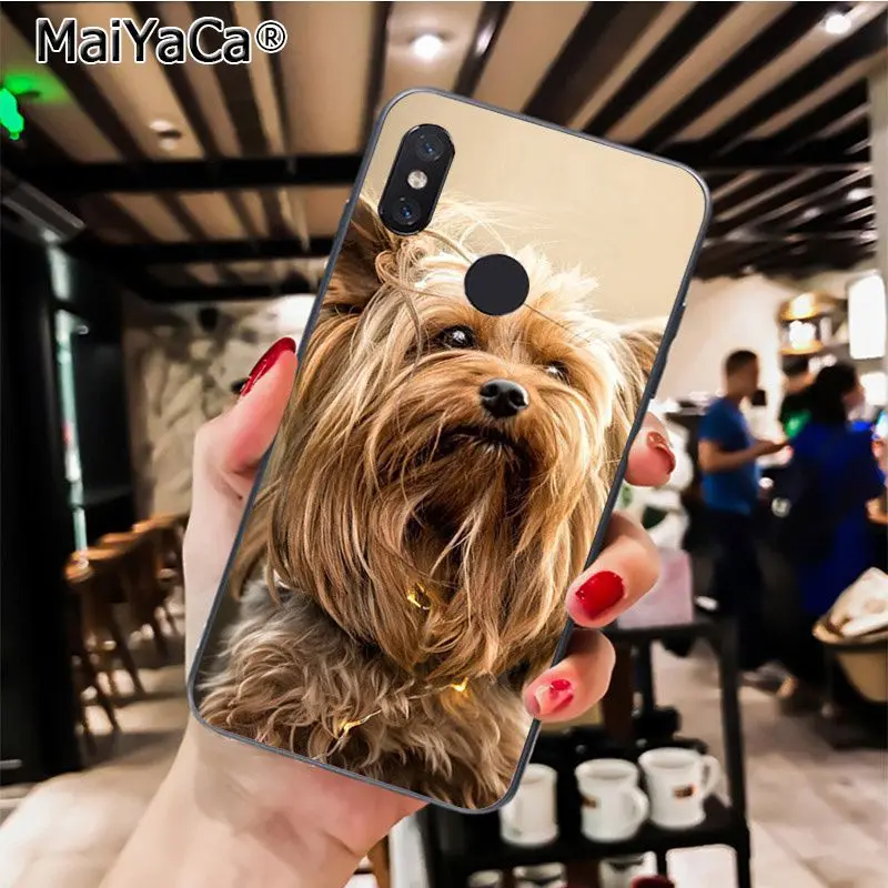 A7 MaiYaCa йоркширский терьер собака новейший модный чехол для телефона Xiaomi Redmi8 4X 6A Redmi Go Redmi5 5Plus Note7 8ProA1 A2Lite - Цвет: A7