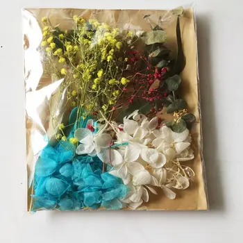 

Real Pressed Flower Leaves Dried Daisy Flower Nail Art Resin Art Jewelry Making