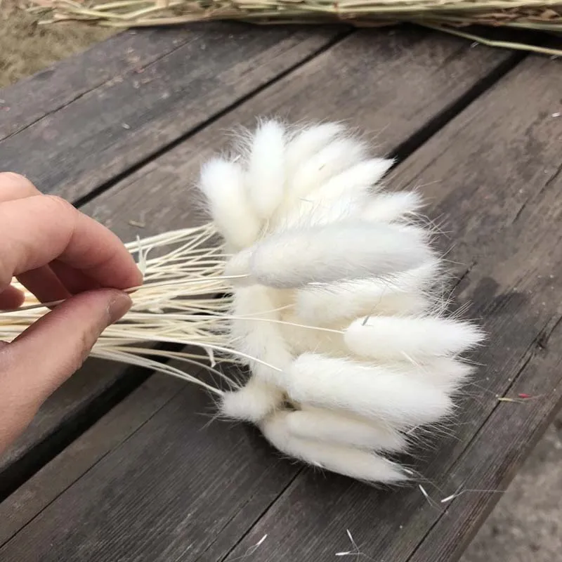 30-35CM/100PCS&50piece Dried Natural Plant Bunny Tails Flowers,Hare's Tail Grass Flower Bouqet For Home Decor,Wedding Decoration