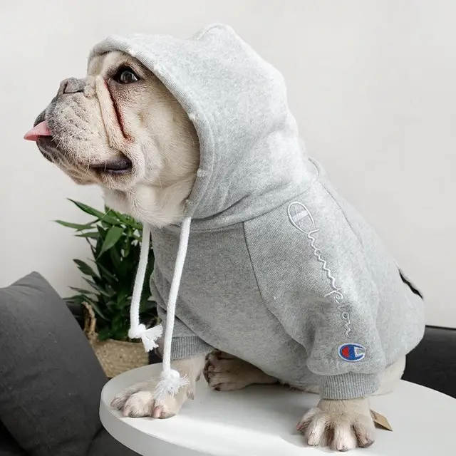 french bulldog hoodie