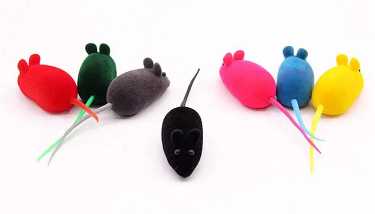 8704413869_559886474