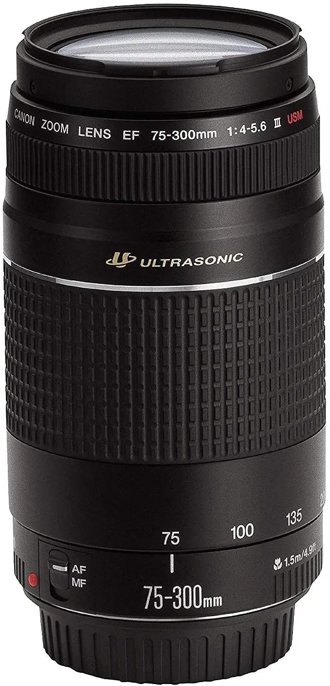 Телеобъектив Canon EF 75-300 мм f/4-5 6 III USM для зеркальных камер с f/4 5-5 | Электроника
