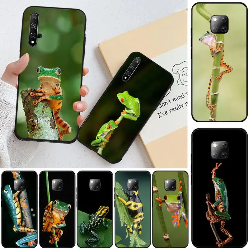 

ByLoving Tiger frog Custom Photo Soft Phone Case For Honor 20 20lite view20 7C 8C 7A 8A 10i 20i PLAY 9X Pro