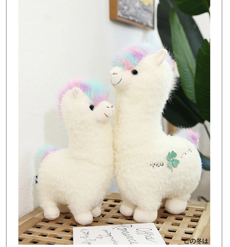 12121808081_457482698