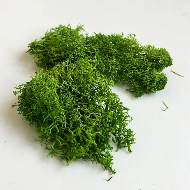 Grass Green 30 г кластер лишайного мха для кустов, модель деревьев, листва, масштабная модель, строительный материал, миниатюрная модель дерева, макет DIY dioramas - Цвет: Grass Green