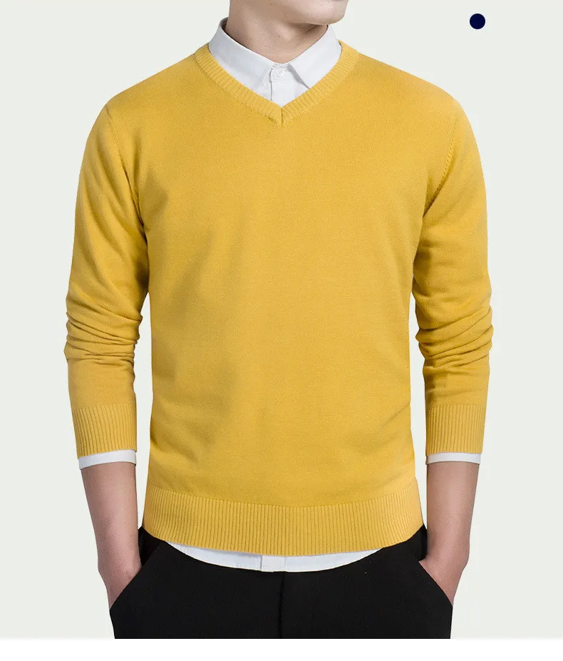 MRMT мужской свитер модный хлопковый свитер пальто для мужчин пуловер V воротник свитер куртка одежда