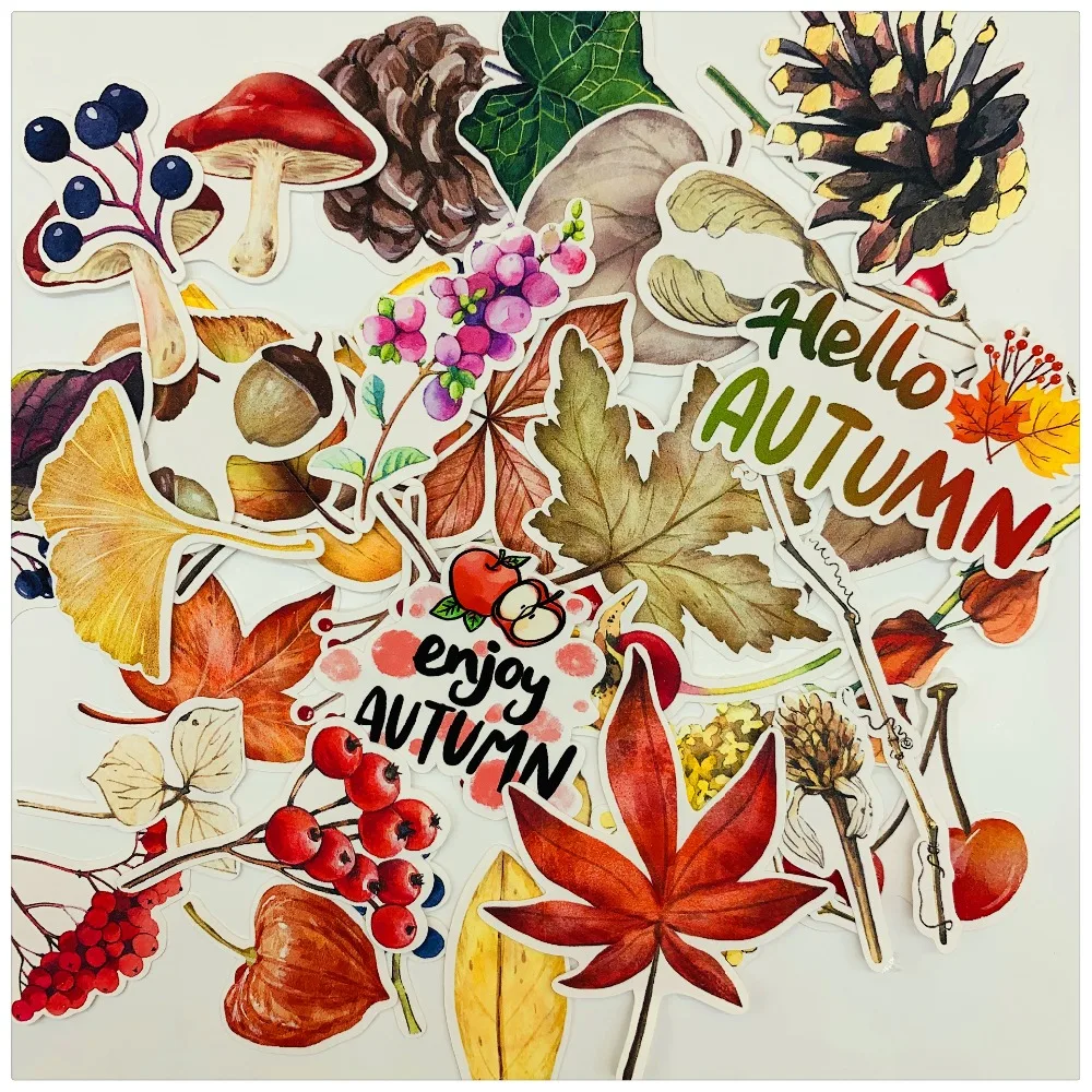 O1CN01D9sDWx29xQ9TpGb8F_!!1807168134