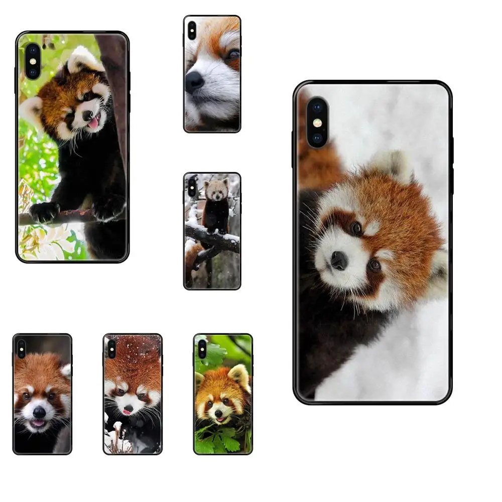 For Apple iPhone 11 12 Pro X XR XS MAX 5 5S 5C SE 6 6S 7 8 Plus Coque Shell Phone Case Cute Fox Koala Animal For Apple iPhone 11 12 Pro X XR XS MAX 5 5S 5C SE 6 6S 7 8 Plus Coque Shell Phone Case Cute Fox Koala Animal